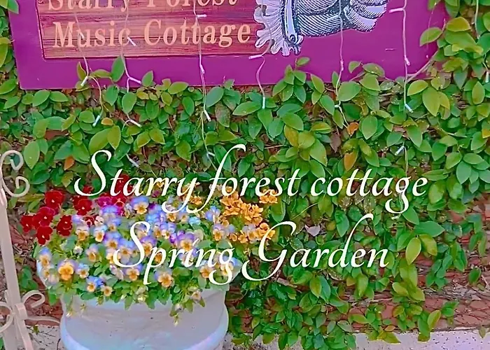 Cats,Piano & Starry Sky Resort Garden -Starry Forest Cottage Okinawa-