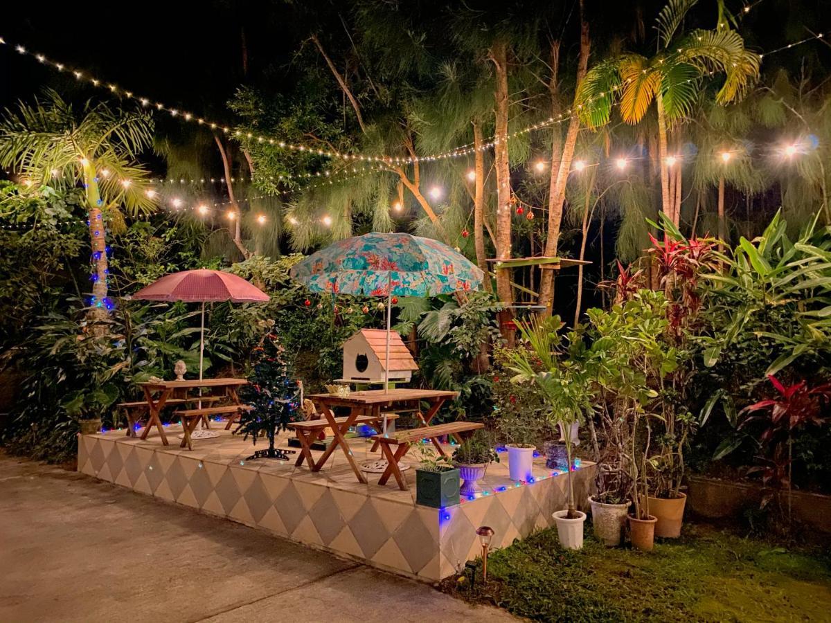 Cats,piano & Starry Sky Garden -starry Forest Okinawa- *