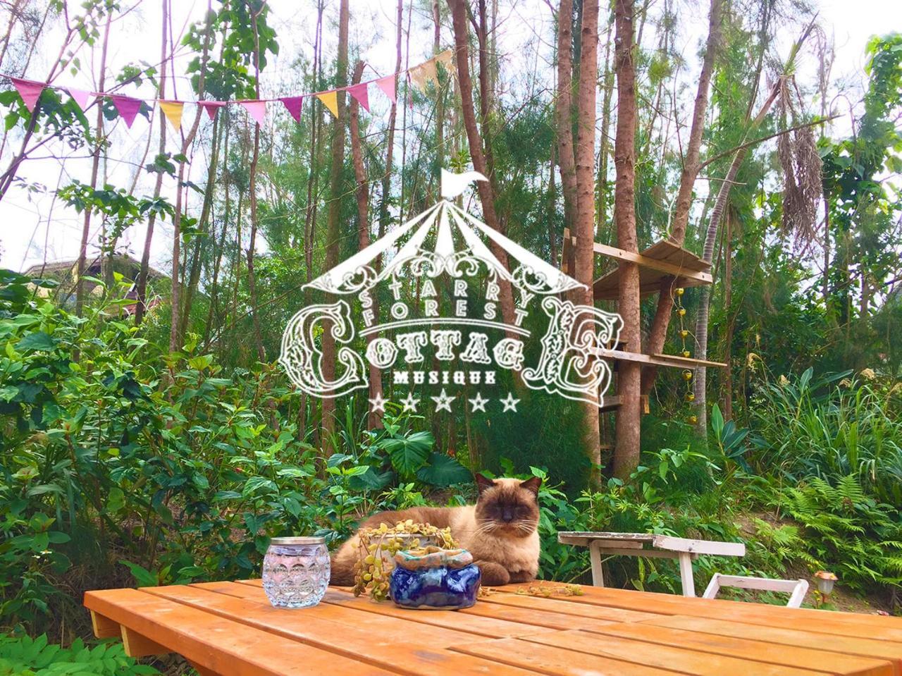 Cats,piano & Starry Sky Garden -starry Forest Okinawa- Ferienhaus